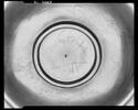 assiette, image 5/5