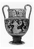 nestoris, image 1/3