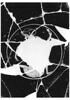 coupe, image 1/7