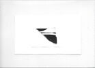 coupe, image 3/3