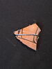 amphore, image 3/3