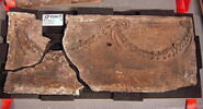 sarcophage, image 1/2