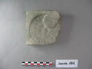 brique, image 2/4