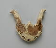 élément de boucle d'oreille, image 2/2