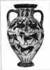 amphore, image 6/8