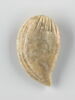 tessère, image 1/2
