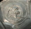 guttus, image 2/2