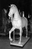 chevaux de Saint-Marc, image 2/2