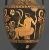 nestoris, image 4/5