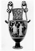 nestoris, image 2/4