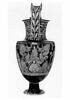 nestoris, image 3/4