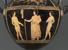 nestoris, image 6/7