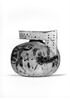 aryballe, image 9/10