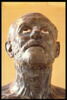 Sénèque mourant, image 7/17