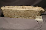 couvercle de sarcophage, image 2/2
