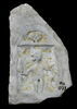 relief, image 2/2