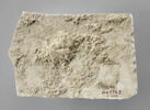 inscription, image 2/2