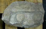 Stèle votive à Saturne (fragment), image 2/2