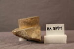 larmier, image 1/2