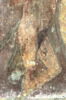 stèle funéraire, image 4/6