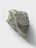 cippe ; inscription, image 2/4