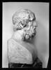 Portrait d'Homère, image 9/10