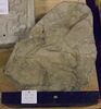 relief, image 2/3