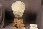 statue, image 4/7