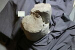 statue, image 3/3