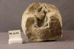 chéneau, image 3/4