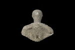 statue en buste, image 4/4