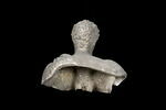 statue en buste, image 3/4
