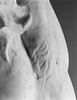 Marsyas supplicié, image 8/19