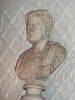 statue en buste, image 8/9