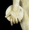 Discophore, image 2/10
