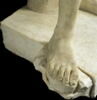 Discophore, image 3/10