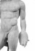 Discophore, image 6/10