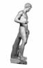 Discophore, image 10/10
