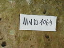 brique, image 3/3