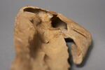 figurine, image 7/10