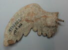 figurine, image 2/2