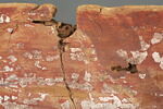 sarcophage, image 7/8