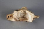 figurine, image 5/9