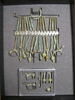 pectoral, image 2/2