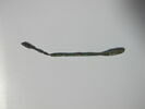 spathomela = sonde-spatule, image 1/2