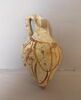amphorisque, image 1/2