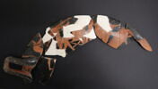 coupe, image 1/7