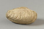 figurine ; ex-voto anatomique, image 6/6