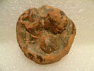 phiale, image 1/2