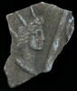 Stèle votive à Saturne (fragment), image 1/2